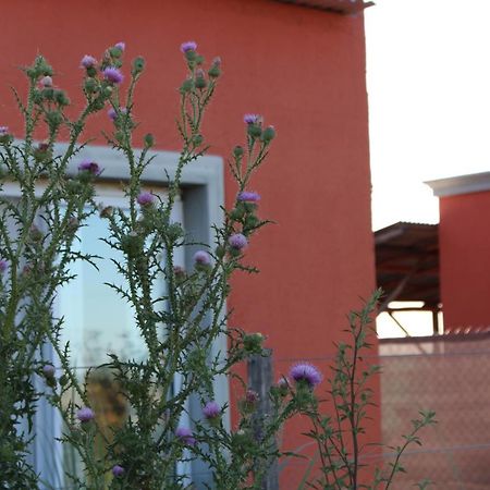 La Narcisa Βίλα Pehuajo Εξωτερικό φωτογραφία