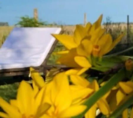 La Narcisa Βίλα Pehuajo Εξωτερικό φωτογραφία