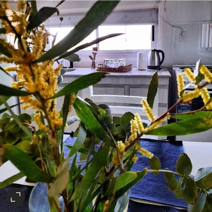 La Narcisa Βίλα Pehuajo Εξωτερικό φωτογραφία