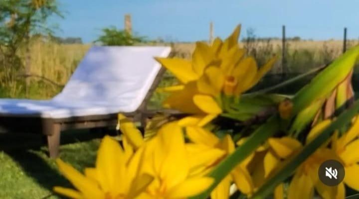 La Narcisa Βίλα Pehuajo Εξωτερικό φωτογραφία