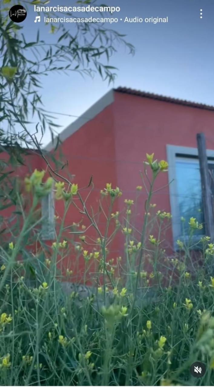 La Narcisa Βίλα Pehuajo Εξωτερικό φωτογραφία