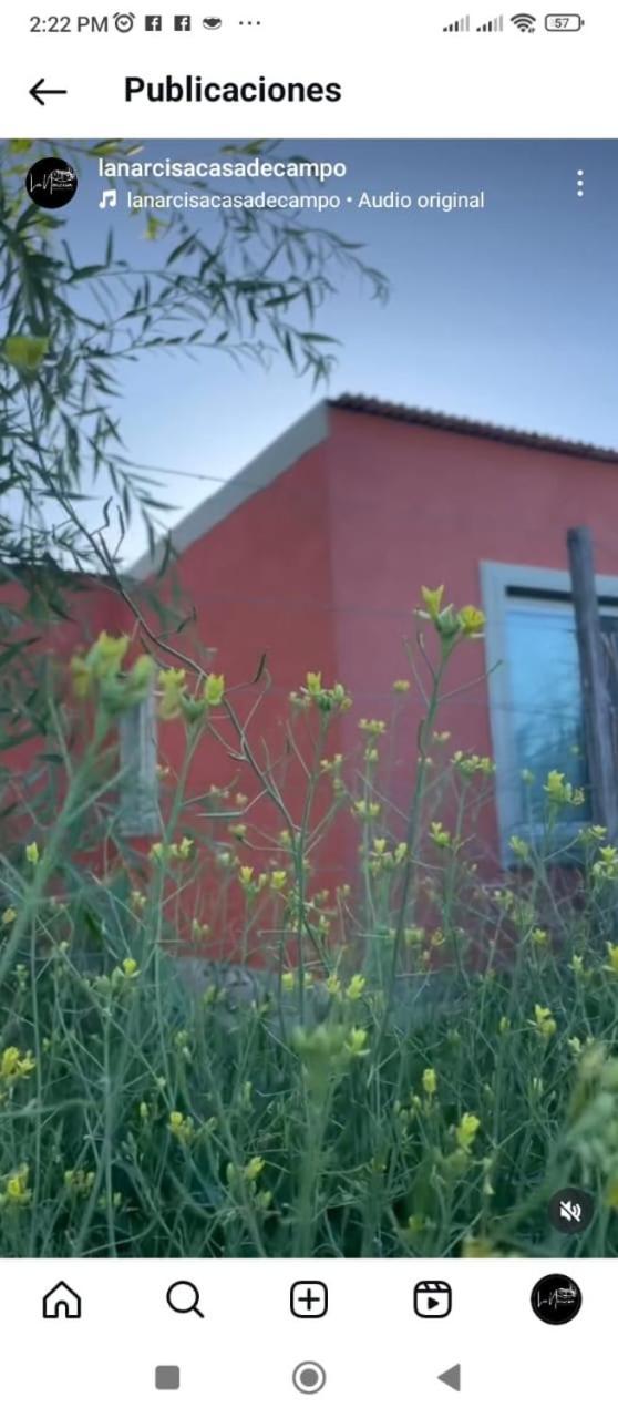 La Narcisa Βίλα Pehuajo Εξωτερικό φωτογραφία